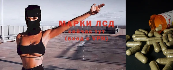 ПСИЛОЦИБИНОВЫЕ ГРИБЫ Аркадак