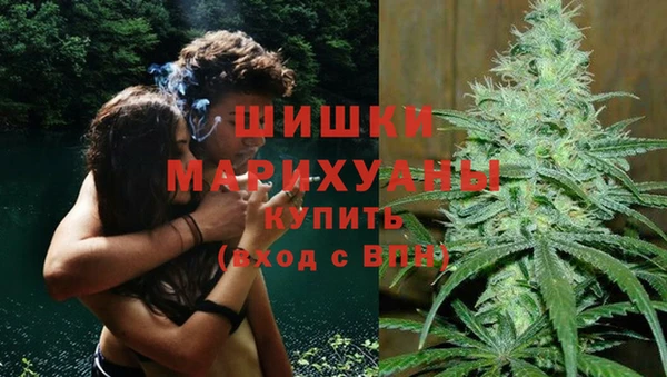 ПСИЛОЦИБИНОВЫЕ ГРИБЫ Аркадак