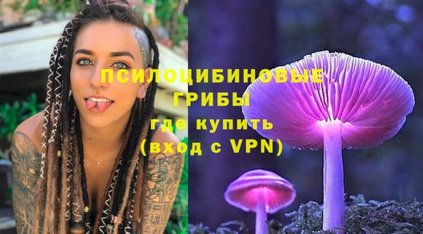 a pvp Арсеньев