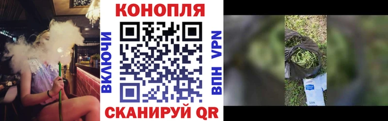 Марихуана семена  Мценск 